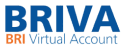 BRI Virtual Akun